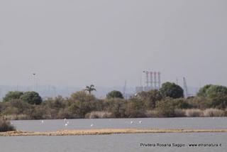 Saline di Priolo